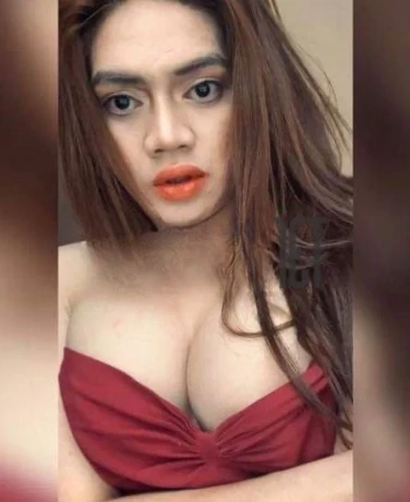 Ts Kat
