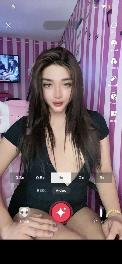 Kiara Expert